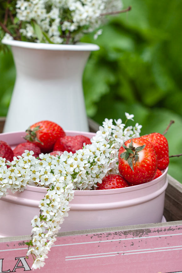 mansikka-raparperijuustokakku