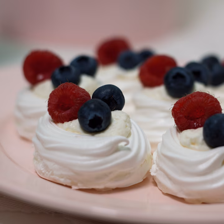 pavlova_lisakuva2