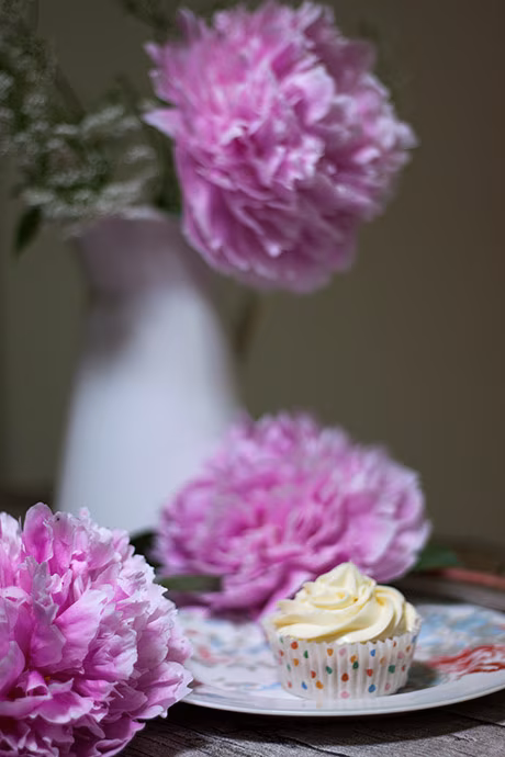 raparpeikuppikakku-2