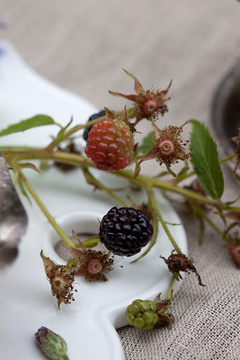 karhunvatukkapiiras2