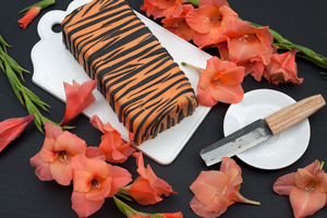 Tiikerikakun uudet vaatteet