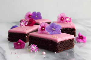 Mansikka-suklaapalat