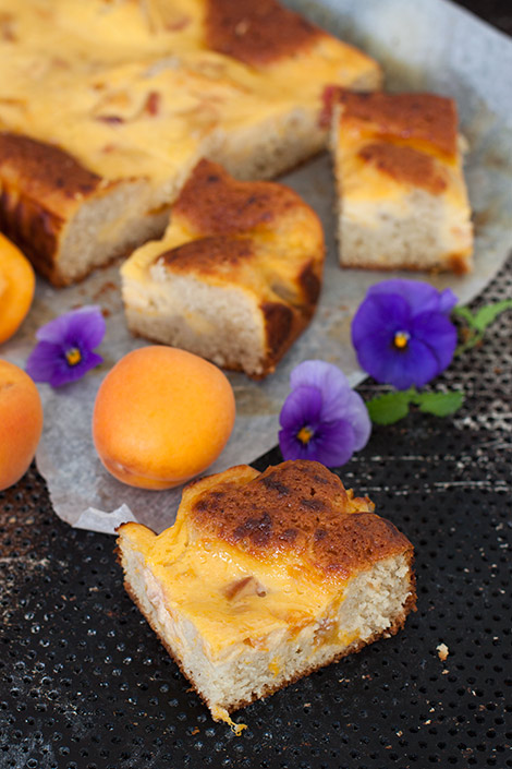 Aprikoosi-nektariinipiirakka