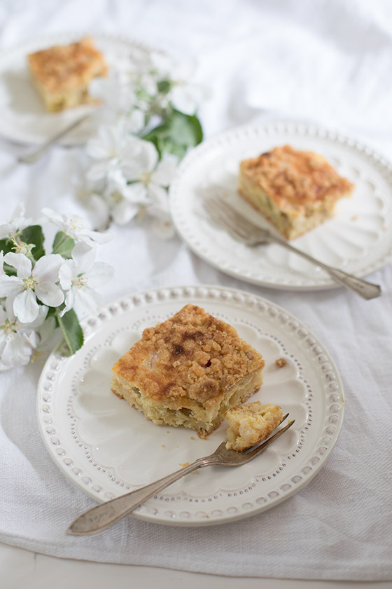 Helppo raparperi-murupiirakka