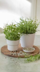 Herneen versot on ihana lisä leivän päälle, salaatteihin tai ruokiin